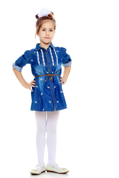 The little girl in the blue dress. - Foto, Imagen