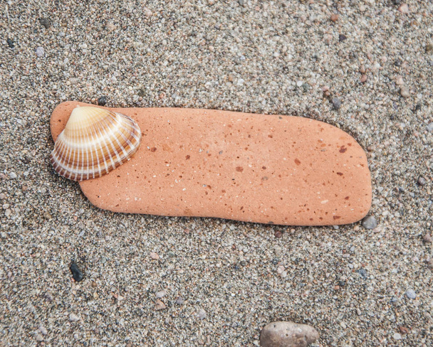 blank stone lying on a sandy beach - Photo, Image