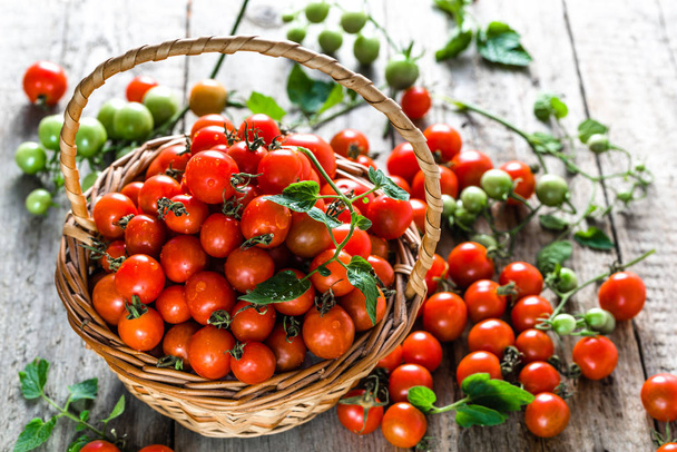 Organic tomatoes called cherry tomato in the basket on wooden table, farm fresh produce freshly harvested from local farmers - Foto, immagini