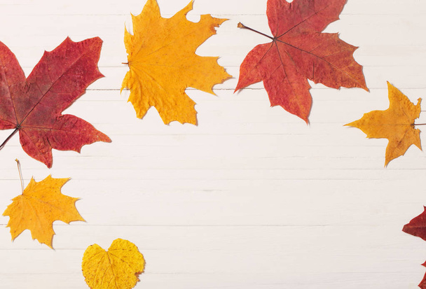 autumn leaves on white wooden background - Foto, afbeelding