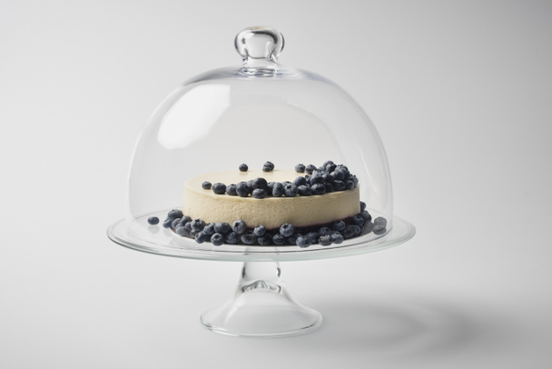 cheesecake with blueberries on glass stand - Foto, imagen
