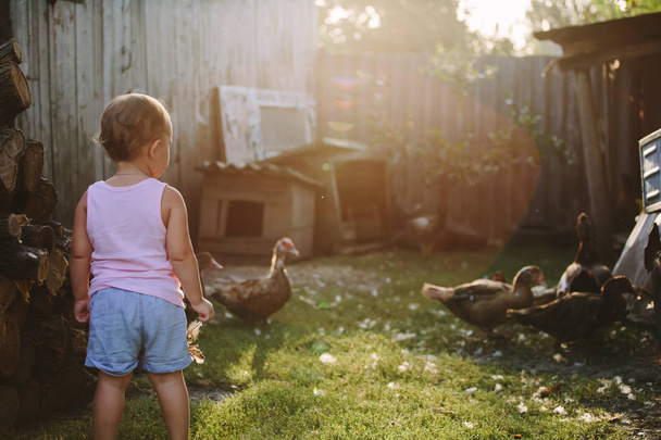 Küçük çocuk çiftlik bahçede yürüyüş - Fotoğraf, Görsel