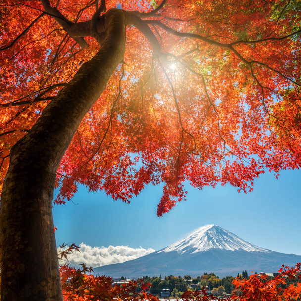Mount Fuji in Herbstfarbe, Japan - Foto, Bild