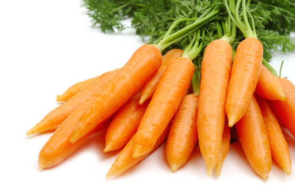Bunch of carrot - Photo, Image