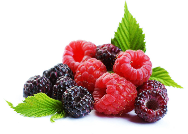 Red and black raspberry with leaves - Foto, Bild