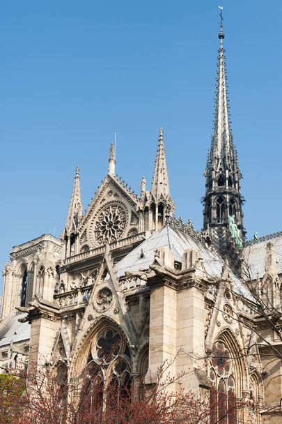 Notre-Dame de Paris cathedral detail from the gardens - Foto, Imagem