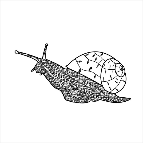 Hand drawn snail with ornaments, black and white - Vector, Image