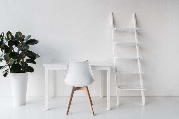 stylish white empty workplace - Photo, Image