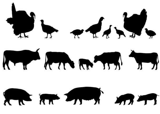 Collection of silhouettes of farm animals - turkeys, cows and pigs - Vector, Image