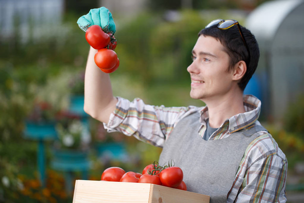 Photo of agronomist with tomato - Valokuva, kuva
