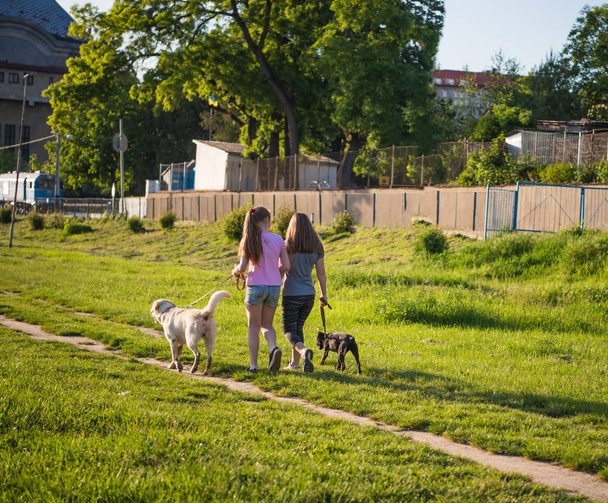 Two girls walking with dogs - Fotó, kép