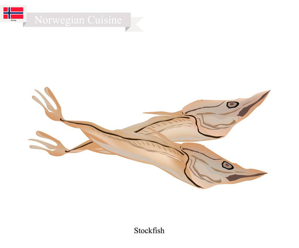 Stockfish or Fish Unsalted, A Popular Food in Norway - Vector, Image