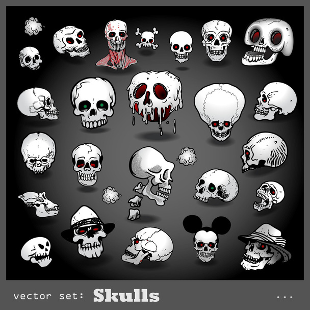 schedels - Vector, afbeelding