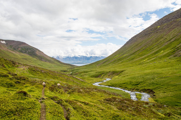 beautiful mountain range and landscape near Dalvik in Iceland - Photo, Image