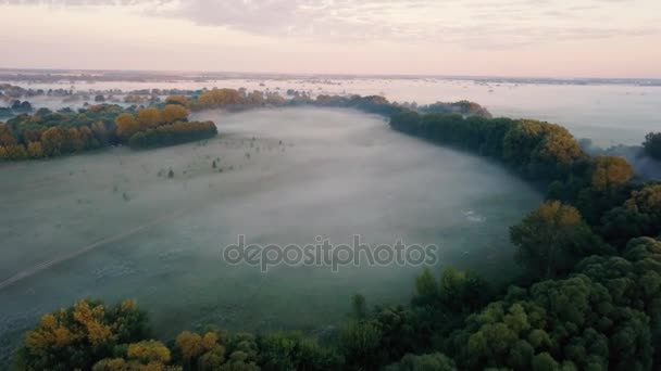 Thick morning fog over the river and meadow. Flying over the mist landscape - Metraje, vídeo