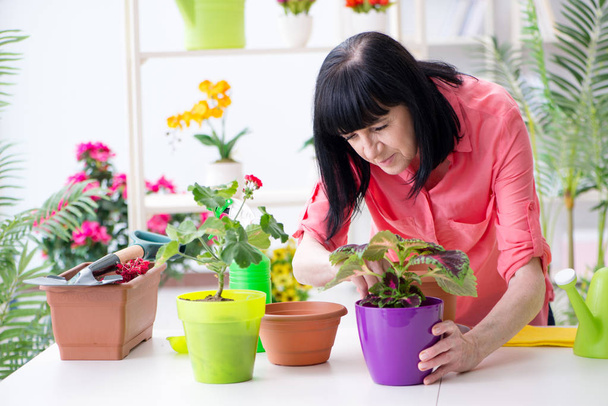 Kobieta kwiaciarnia pracuje w kwiaciarni - Zdjęcie, obraz