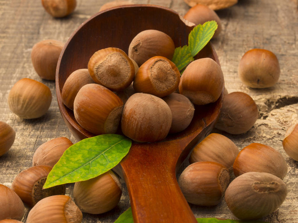 fresh and healthy hazelnuts - Fotografie, Obrázek