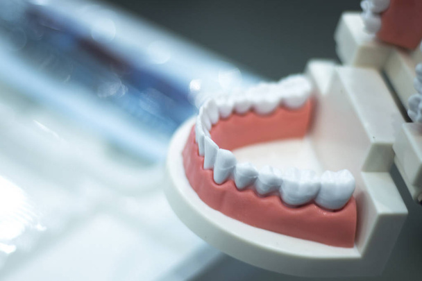 Dental teeth mouth model - Photo, Image