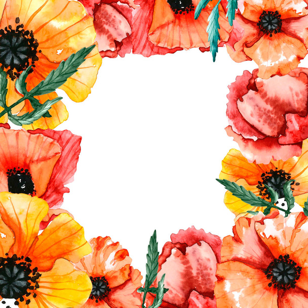 frame of watercolor poppies  - Photo, Image