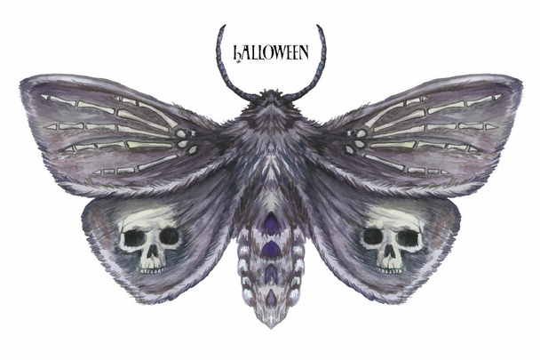 Акварельний малюнок метелика нічний метелик, жахлива метелик на свято Хеллоуїна з черепом на його крилах і кістках, зап'ястя скелета, пухнаста метелик на білому тлі
 - Вектор, зображення