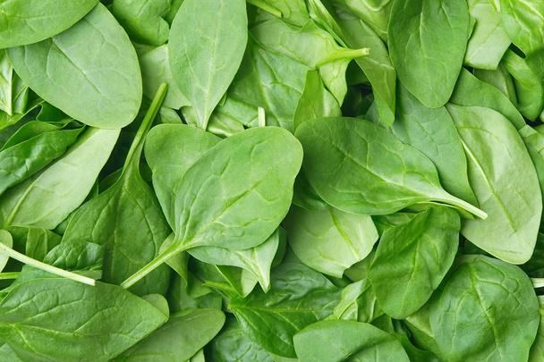 Background made of spinach - Foto, Bild