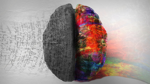 Правый боковой мозг
 - Фото, изображение