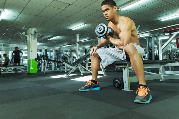 Fitness man in training showing exercises with dumbbells in gym, fitness concept, sport concept - Foto, afbeelding