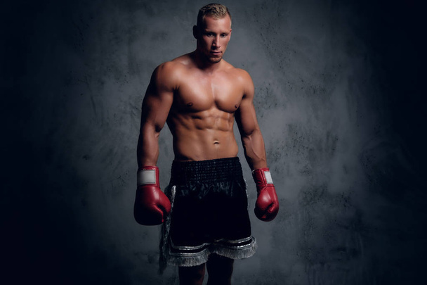 Shirtles boxer over grey background - Valokuva, kuva