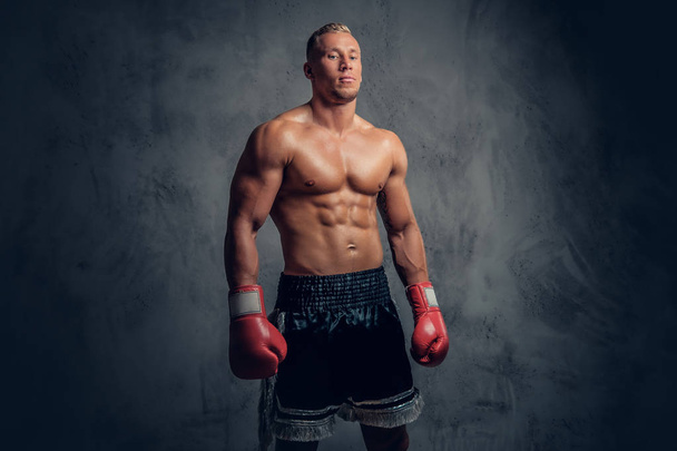 Shirtless kick boxer in a studio - 写真・画像