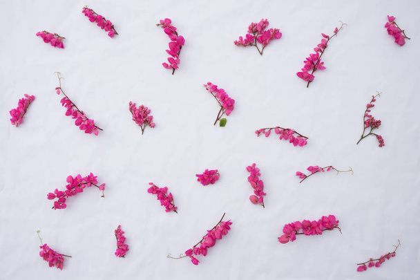 Vzor květiny růžové korály révy - Fotografie, Obrázek