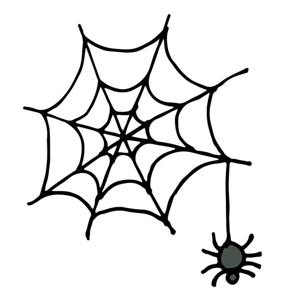 Kézi húz vázlat, a pók és a web vektoros illusztráció - Vektor, kép