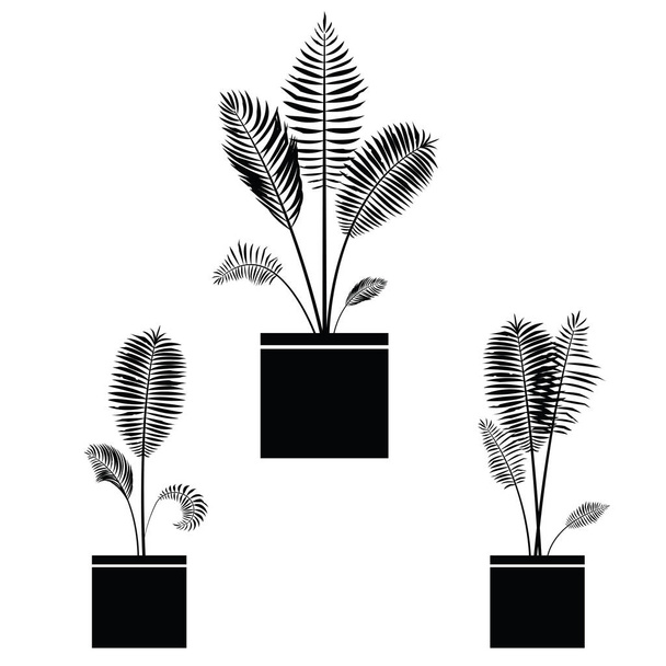 Interior palm trees silhouette on the pot - Vector, Imagen