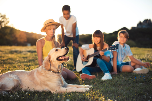 teenagers with dog in park - Φωτογραφία, εικόνα