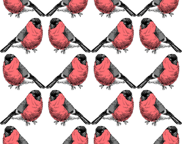 Hand sketched pattern with bullfinches - Vetor, Imagem