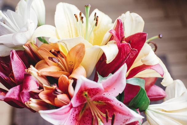 Flores de lírio coloridas
 - Foto, Imagem