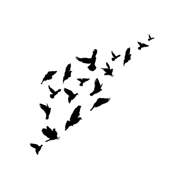 Siluety hejno ptáků. Vektorové ilustrace. Izolované na bílém pozadí. Od ruky kreslené obrázky - Vektor, obrázek