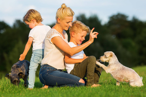 mother with two children play with a small dog - Foto, Bild