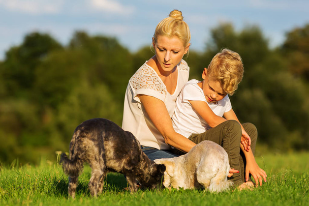 madre con il figlio che gioca con due cagnolini
 - Foto, immagini
