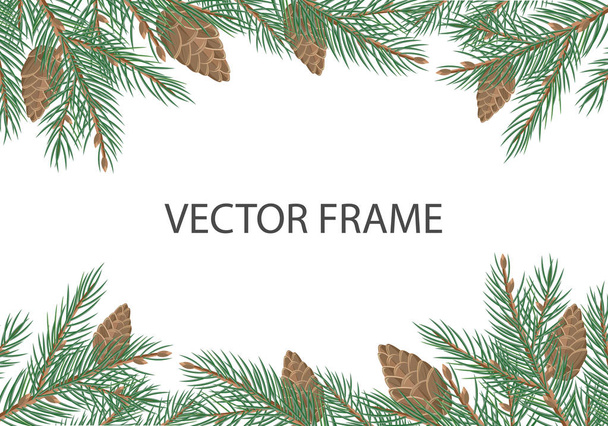Vector Frame with Pine Tree Brunches and Cones - Vector, imagen