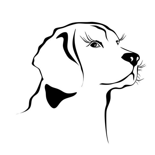 Pes (realistické, zjednodušený obrázek hlavy) - Vektor, obrázek