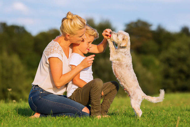 mother with son playing with a small dog - Foto, imagen