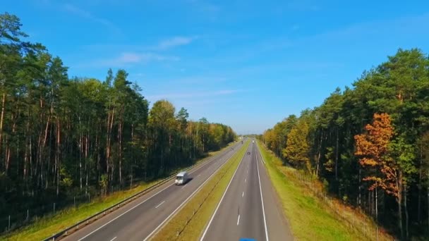 Luchtfoto auto's rijden op snelweg weg in bos. Snelweg bos - Video