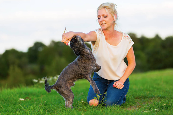 woman plays with a terrier hybrid outdoors - Фото, изображение