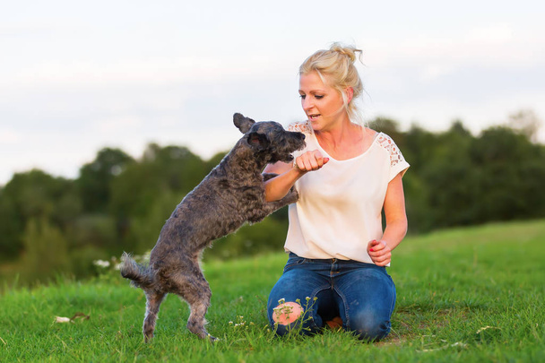 woman plays with a terrier hybrid outdoors - Фото, зображення