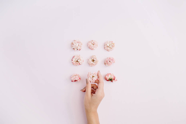 Girl's hand holding pink dry rose buds - Foto, Imagen