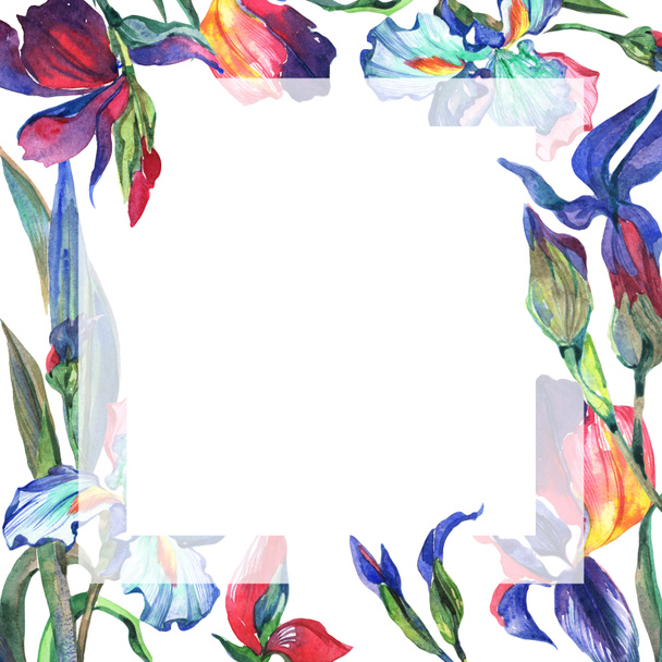 Wildflower iris flower frame in a watercolor style. - Photo, Image