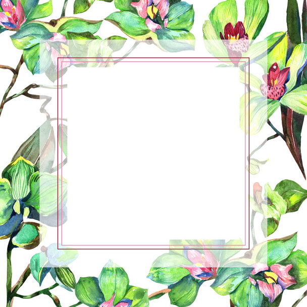 Wildflower orchid flower frame in a watercolor style. - 写真・画像