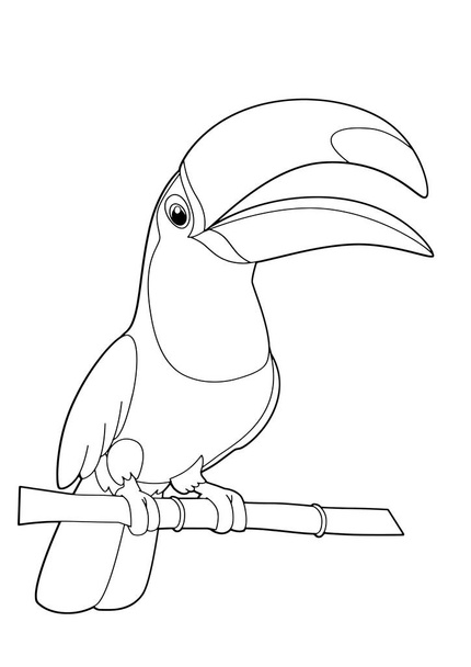 Cartoon bird toco toucan - Вектор,изображение