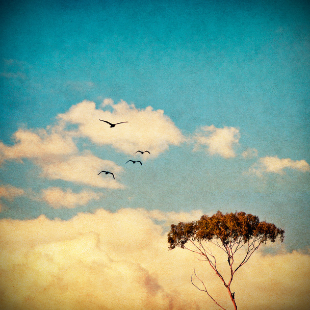 Мрійливий небо і дерево - Фото, зображення