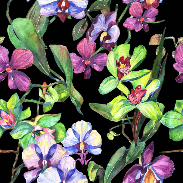 Wildflower orchid flower pattern in a watercolor style. - Foto, afbeelding